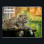 2026 Leopard Calendar<br><div class="desc">This 2026 wall calendar feature is Snow leopard as photography.</div>