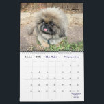2026 Liz E.'s Pekingese Calendar<br><div class="desc">Here they are! The Pekingese you love! Meet the remarkable Pekingese of Liz E.'s Rescue and Sanctuary's 2026 Calendar—each furry face tells a rescue story of transformation and second chances. This year's extra special feature: YOU chose the cover star! Meet Tommy Myrone, your People's Choice winner. Your purchase supports: Ongoing...</div>