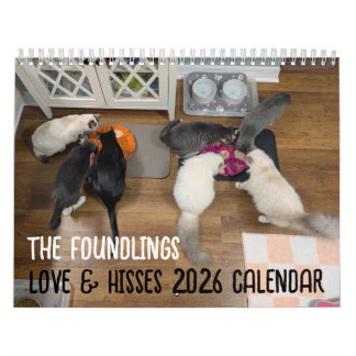 2026 Love & Hisses Calendar - the Foundlings