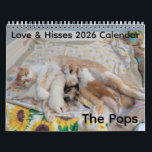 2026 Love & Hisses Calendar - the Pops<br><div class="desc">2026 Love & Hisses Calendar - the Pops Fostered for Forgotten Felines of Huntsville in early 2025, the Pops - orange and white mama Sodapop, her sons Sundrop (orange and white) and Fanta (flame point), and daughters Moxie (calico) and Poppi (tortie point) came to us when the kittens were 1...</div>