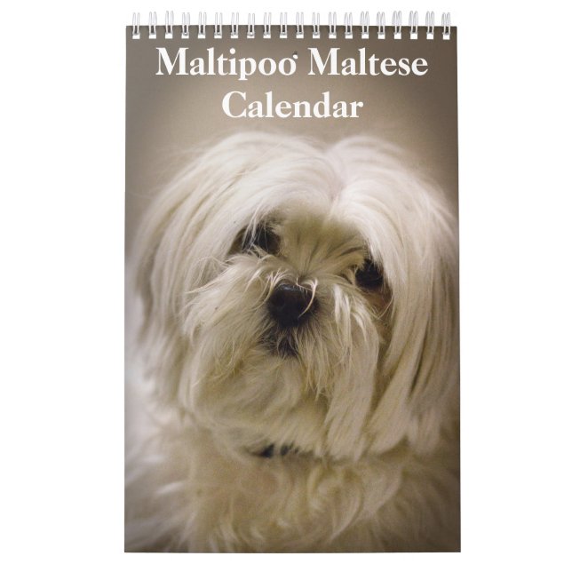 2026 Maltipoo Maltese Puppy Calendar (Cover)