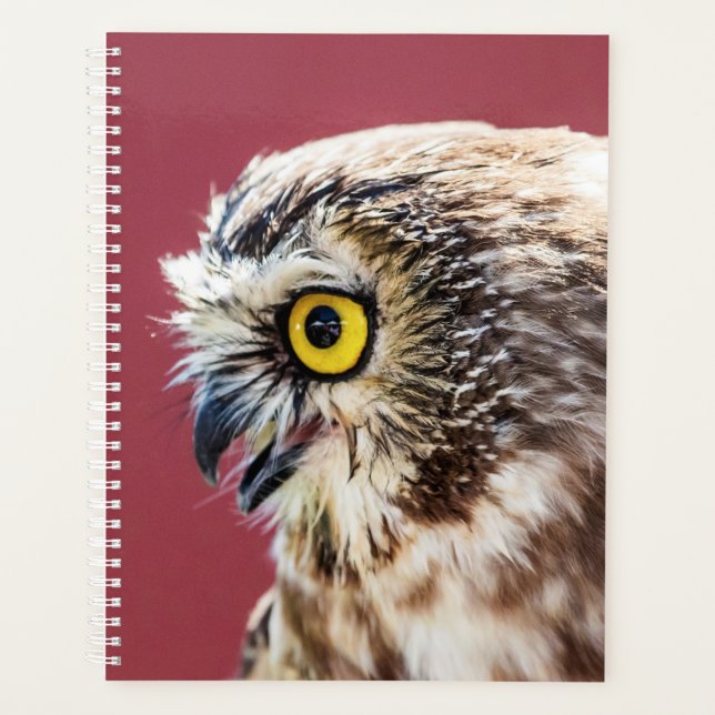 2026 Owl Planner | Wildlife Photography (Front)