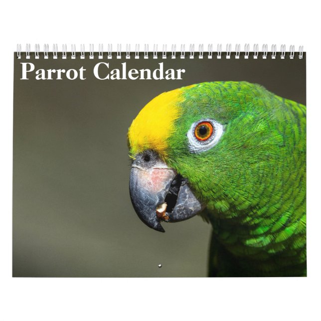 2026 Parrot Calendar (Cover)