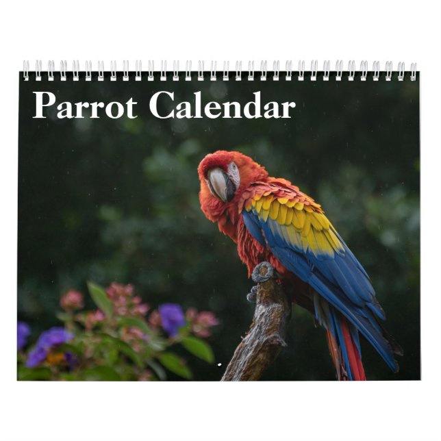 2026 Parrot Calendar  (Cover)