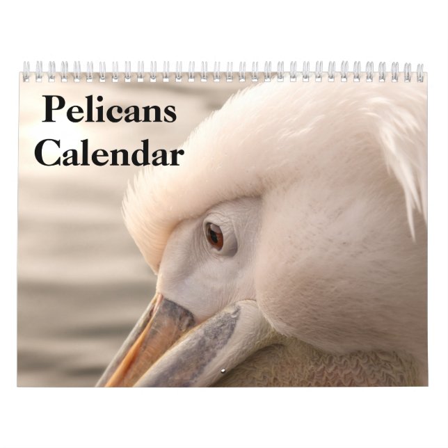2026 Pelicans Bird Calendar (Cover)