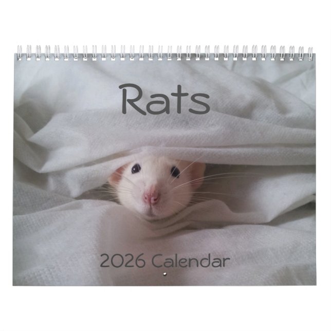 2026 Pet Rat Calendar (Cover)