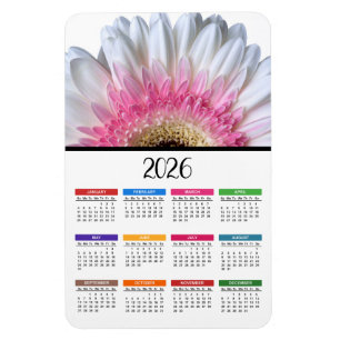 2026 Pink and White Gerbera Daisy Calendar Magnet
