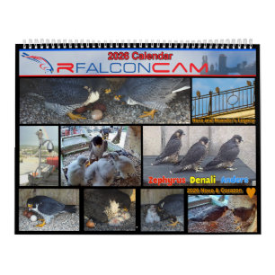 2026 Rfalconcam Calendar