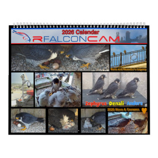 2026 Rfalconcam Calendar
