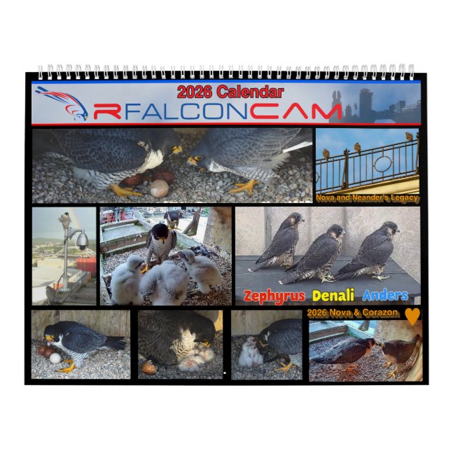 2026 Rfalconcam Calendar (Cover)