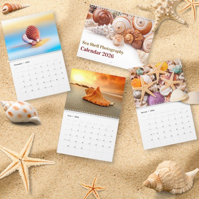 2026 Sea Shell | Coastal  Shell Photography Calendar (Creator Uploaded)