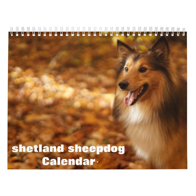 2026 Shetland Sheepdog Calendar (Cover)