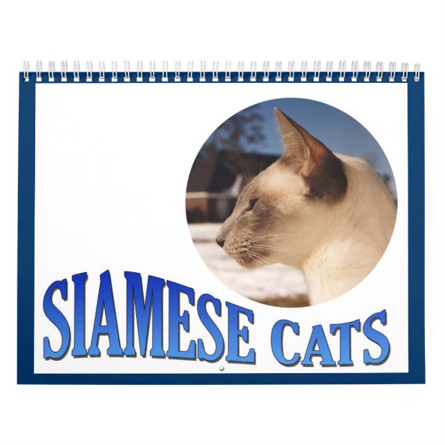 2026 Siamese Cat Wall  Calendar (Cover)