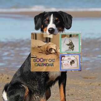 2026 silly cat Calendar