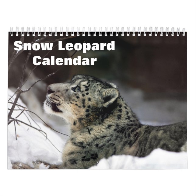 2026 Snow leopard Calendar (Cover)