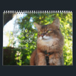2026 Somali Cat Calendar Featuring Summer Samba<br><div class="desc">Meet Summer Samba — the adorable Somali cat who has captured hearts all over the internet! This 2026 wall calendar features 12 full-color images of Summer being her stylish, silly, charming self. You’ll see her modeling cute outfits, posing like the celebrity she is, and bringing smiles all year long. •...</div>