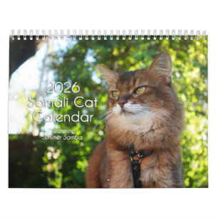 2026 Somali Cat Calendar Featuring Summer Samba