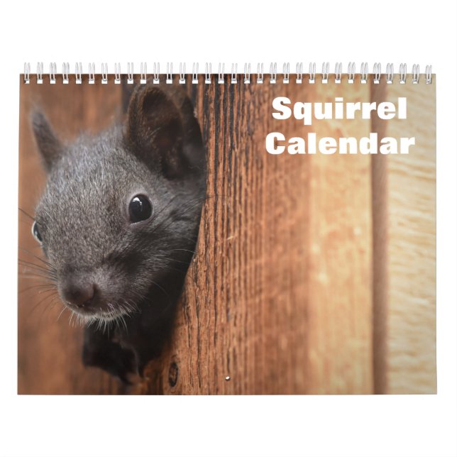 2026 Squirrel Calendar (Cover)