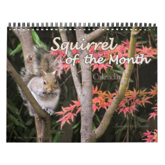 2026 Squirrel Photo Wall Calendar