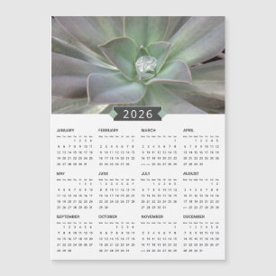 2026 Succulent Photograph Calendar Magnet