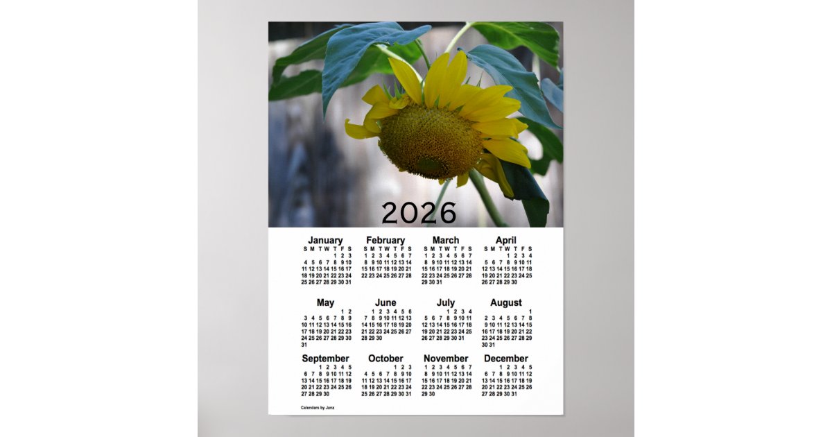 2026 Sunflower Calendar by Janz Poster Zazzle