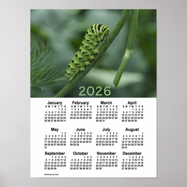 2026 Swallow Tail Caterpillar Calendar by Janz Poster (Front)