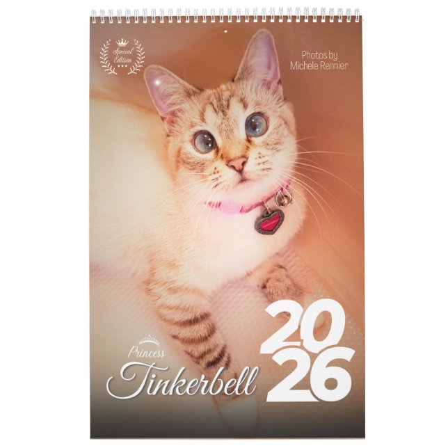 2026 Tinkerbell International Calendar (Cover)