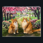 2026 Tony and Teddy Maine Coons Calendar<br><div class="desc">The Tony and Teddy Maine Coons 2026 Calendar features the cutest cats on the internet - beautiful ginger and white brothers who know how to post for pictures and celebrate holidays. Enjoy seeing these adorable boys in colorful pictures all year long. Great for cat lovers of all ages.</div>
