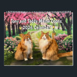 2026 Tony and Teddy Maine Coons Calendar<br><div class="desc">The Tony and Teddy Maine Coons 2026 Calendar features the cutest cats on the internet - beautiful ginger and white brothers who know how to post for pictures and celebrate holidays. Enjoy seeing these adorable boys in colorful pictures all year long. Great for cat lovers of all ages.</div>