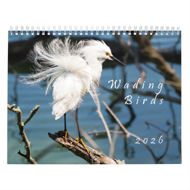 2026 Wading Birds Original Photo Calendar (Cover)