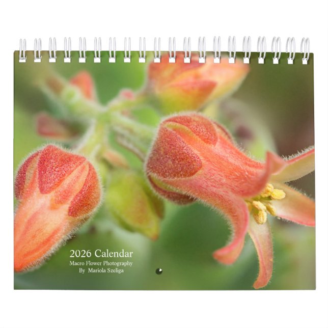2026 Wall Calendar Flowers in Macro Photography (Cover)