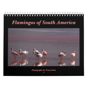 2026 Wild Flamingo South America Birds Wall Calendar