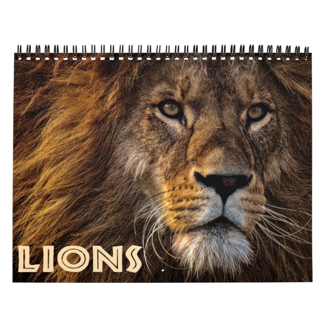 2026 Wild Lions Calendar (Cover)