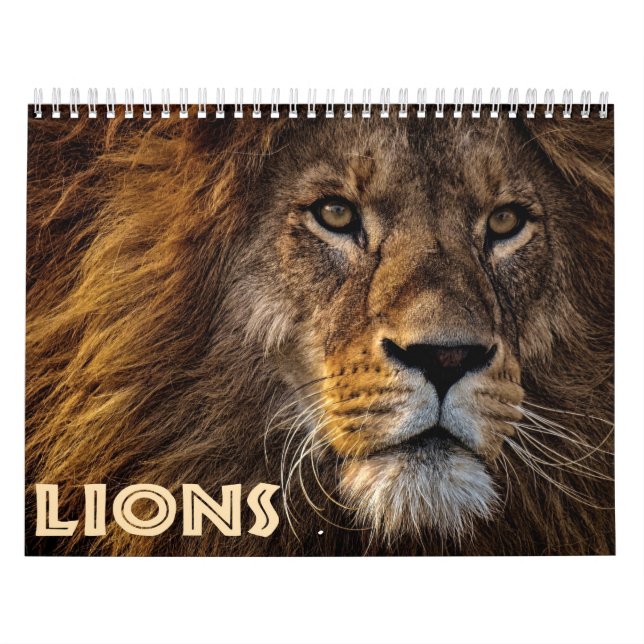 2026 Wild Lions Calendar (Cover)