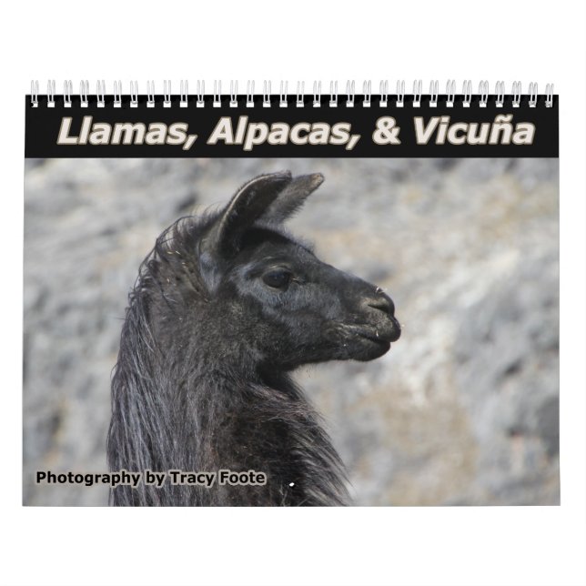 2026 Wild Llamas and Alpacas Wall  Calendar (Cover)