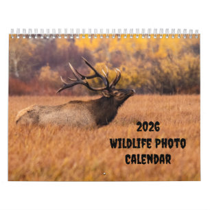 2026 Wildlife Photo Two Page Medium Calendar