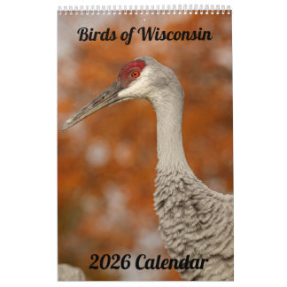 2026 Wisconsin Birds Calendar