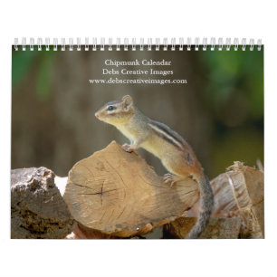 2027 Adirondack Chipmunk Woodland Photography Calendar