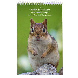 2027 Adirondack Chipmunks   Wildlife Photography Calendar