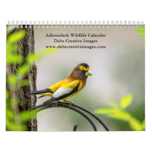 2027 Adirondack Wildlife Mountain Nature Calendar