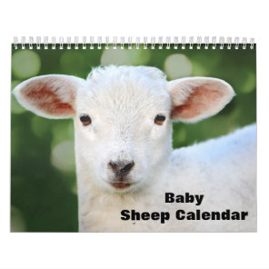 2027 Baby Sheep Lamb Calendar