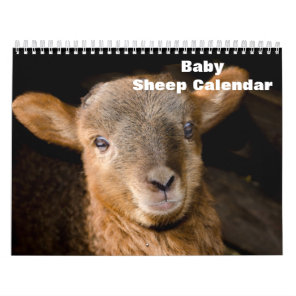2027 Baby Sheep Lamb Calendar
