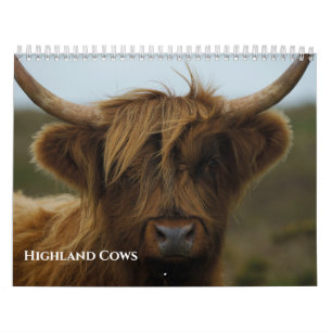 2027 Beloved Highland Cow Photo Calendar