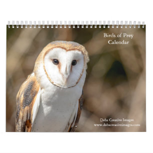 2027 Birds of Prey North American Raptors Calendar