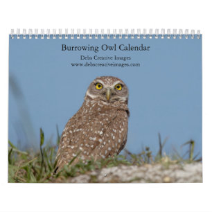 2027 Burrowing Owl Calendar   Southeast Florida