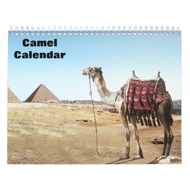 2027 Camel Calendar (Cover)