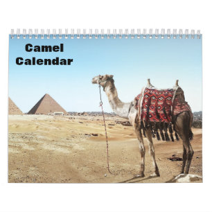 2027 Camel Calendar
