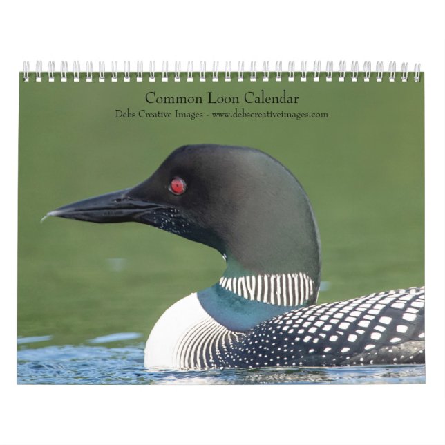 2027 Common Loons | Adirondack Lake Photography Calendar (Cover)