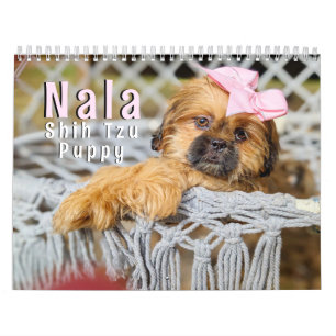 2027 Cute Shih Tzu Puppy  Calendar