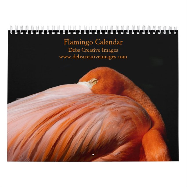 2027 Flamingos of Florida Calendar (Cover)